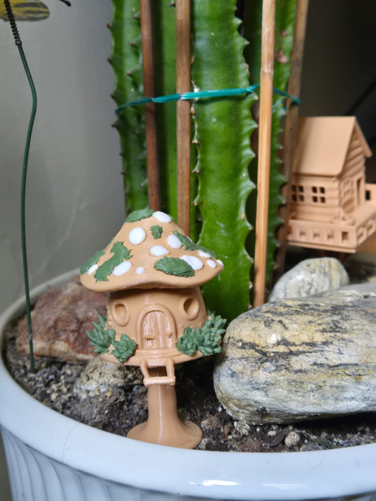 Casa Hongo